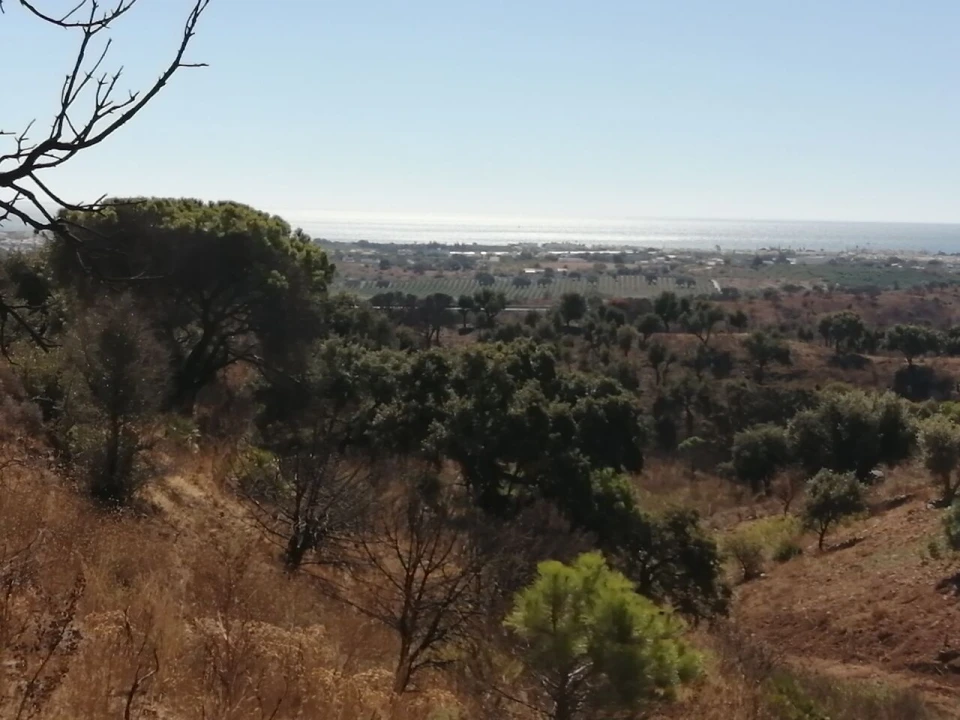 Terreno para Venda em Vila Nova de Cacela Foto 4