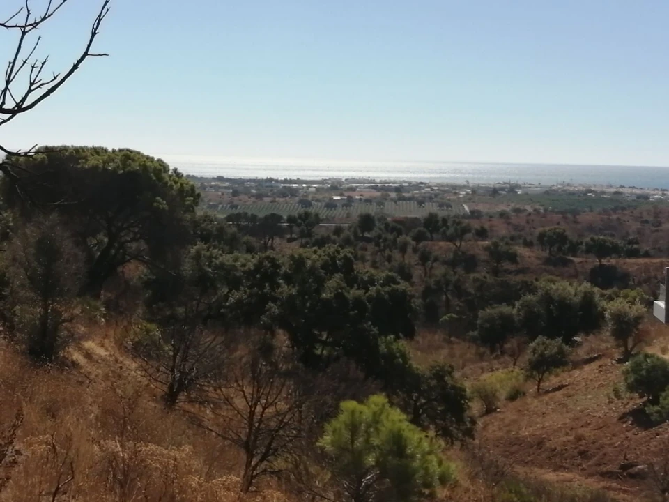 Terreno para Venda em Vila Nova de Cacela Foto 3