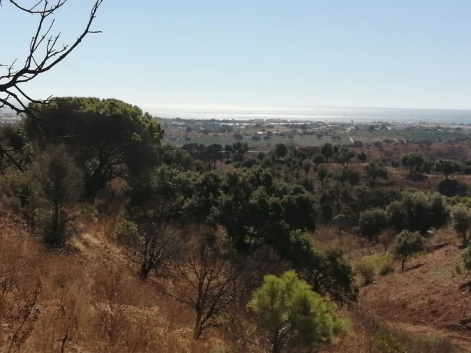 Terreno para Venda em Vila Nova de Cacela Foto 4
