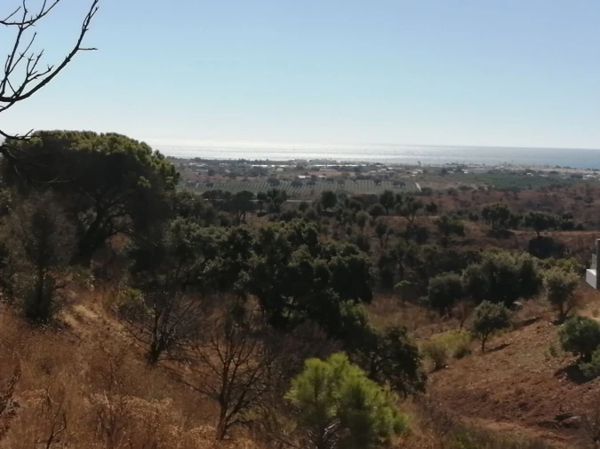Terreno para Venda em Vila Nova de Cacela Foto 3