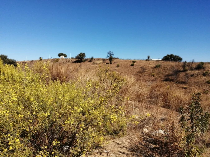 Terreno para Venda em Vila Nova de Cacela Foto 5