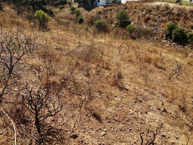 Terreno para Venda em Vila Nova de Cacela Foto 9