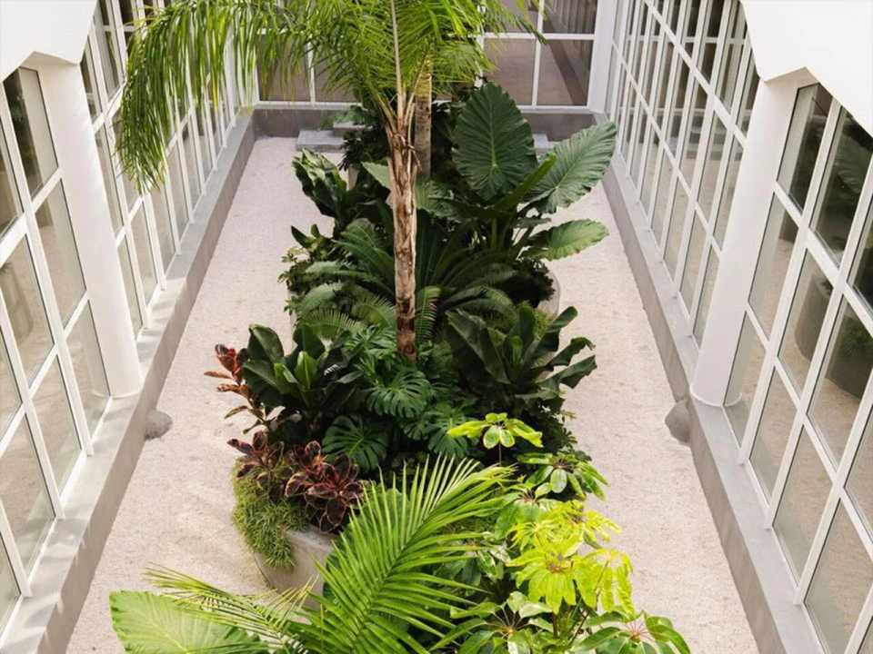 Armazém para Arrendamento em Ajuda Foto 14