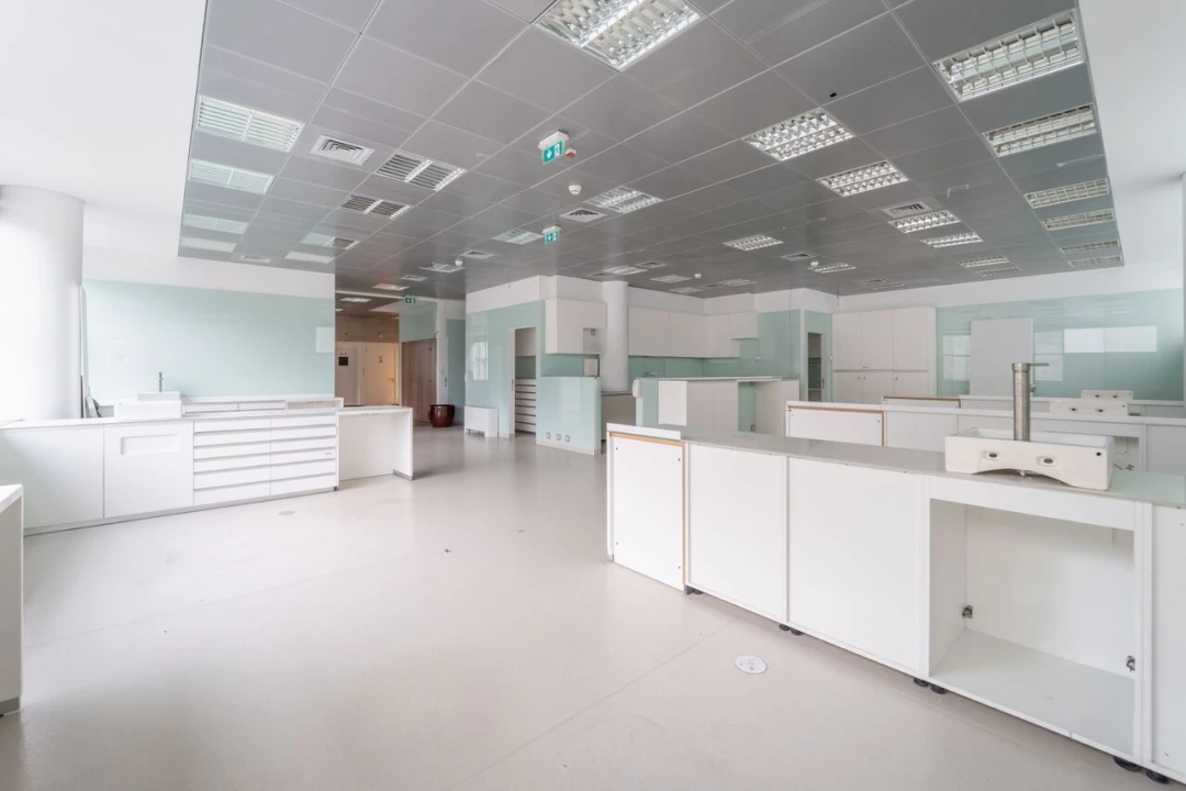 Escritório para Arrendamento em Lordelo do Ouro e Massarelos Foto 7