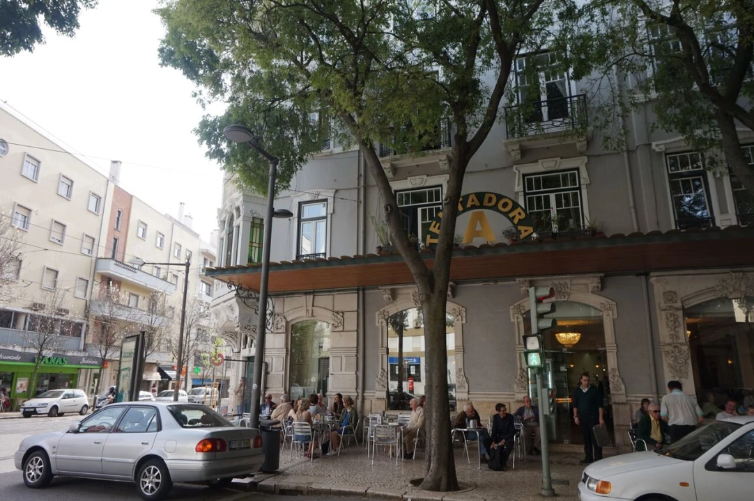 Loja para Arrendamento em Campo de Ourique Foto 8