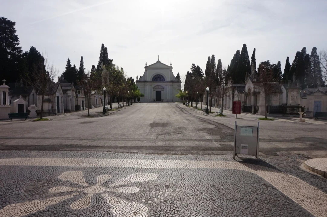 Loja para Arrendamento em Campo de Ourique Foto 18