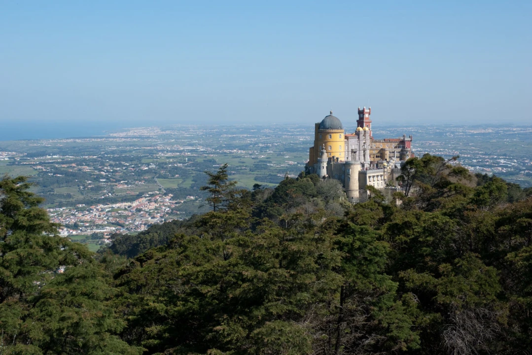 Armazém para Arrendamento em Santa Maria e São Miguel, São Martinho, São Pedro Penaferrim Foto 16