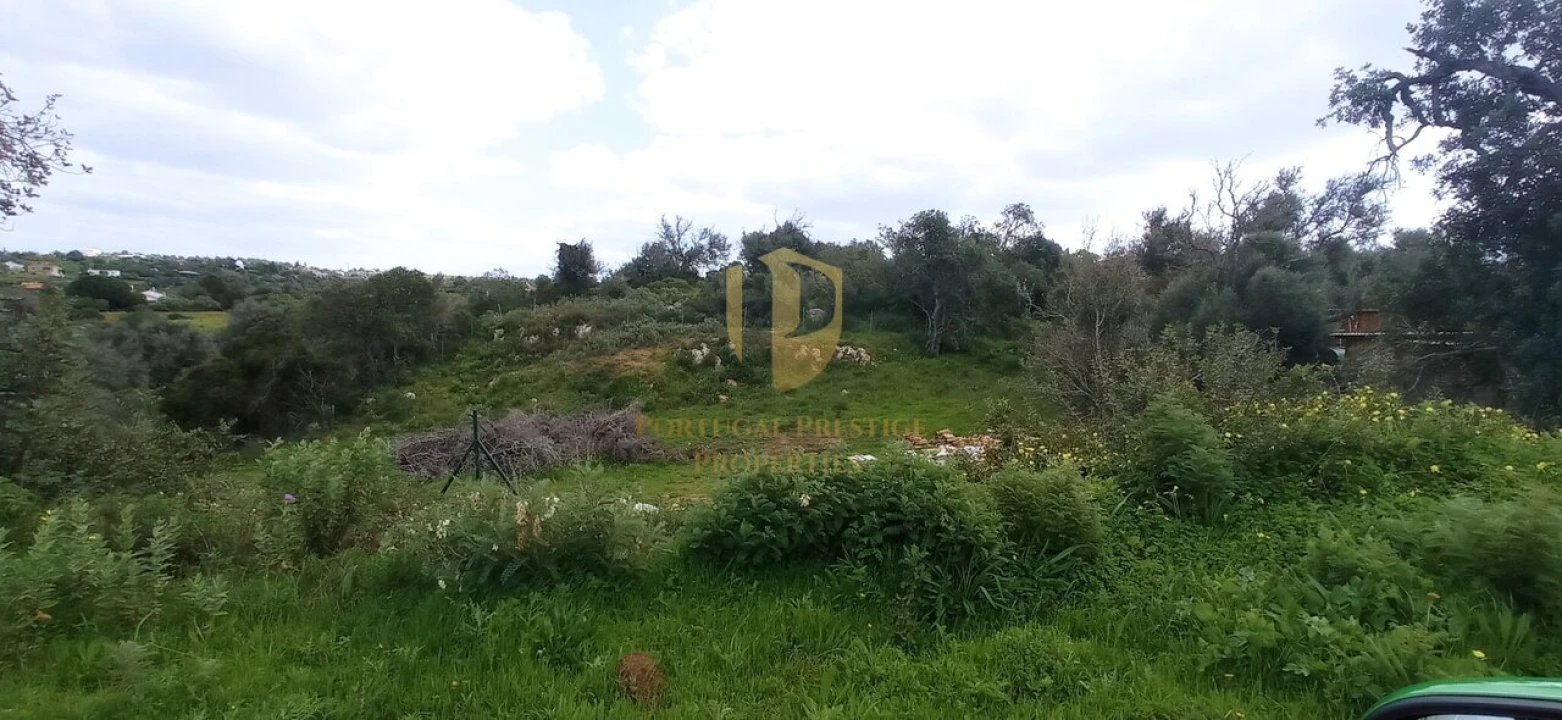 Negócio para Venda em Guia Foto 29