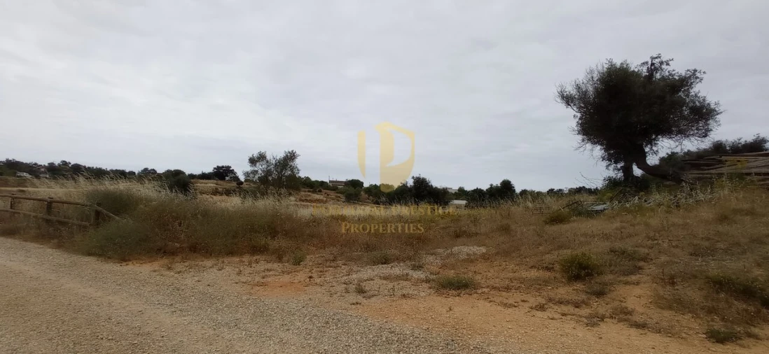 Negócio para Venda em Guia Foto 24