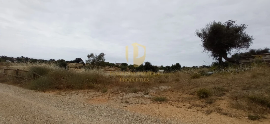 Quinta T40 para Venda em Guia Foto 24