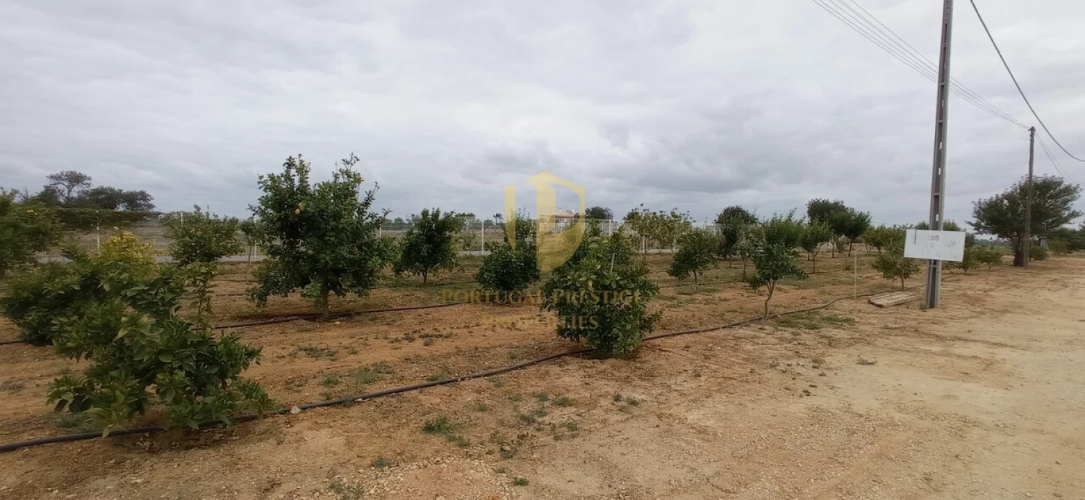 Quinta T40 para Venda em Guia Foto 26