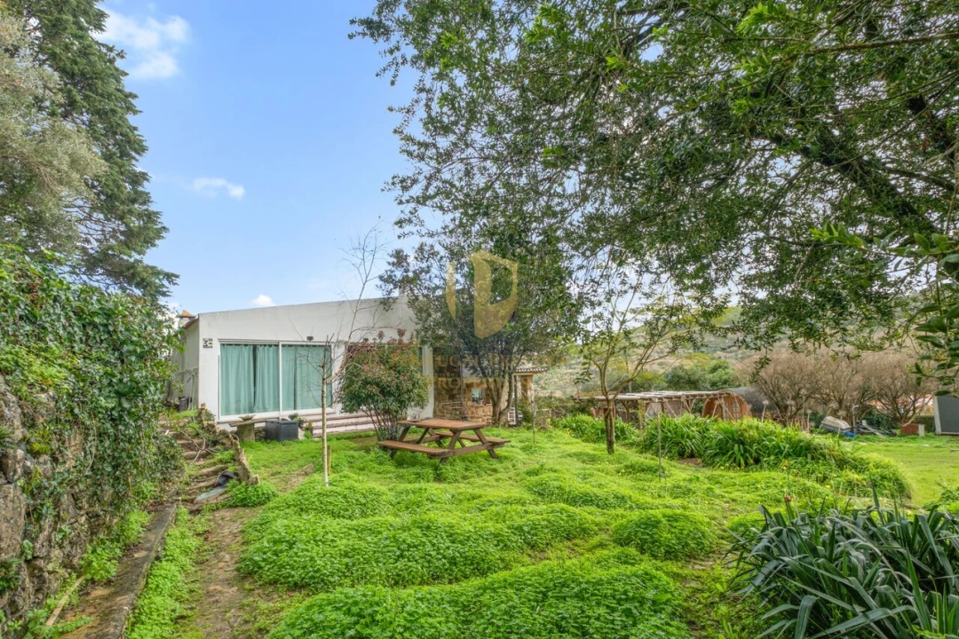 Quinta T1 para Venda em Arruda dos Vinhos Foto 23