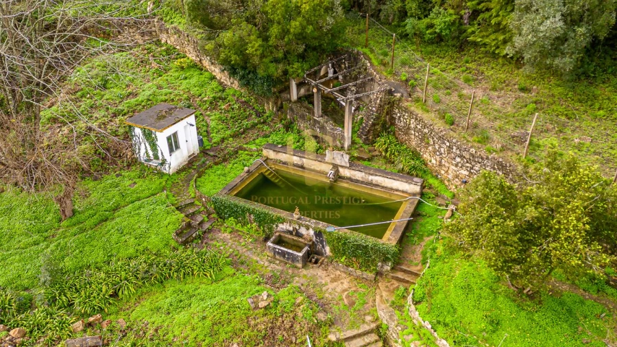 Quinta T1 para Venda em Arruda dos Vinhos Foto 28