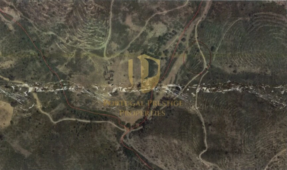 Terreno para Venda em São Bartolomeu de Messines Foto 16