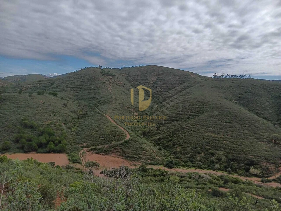 Terreno para Venda em São Bartolomeu de Messines Foto 10