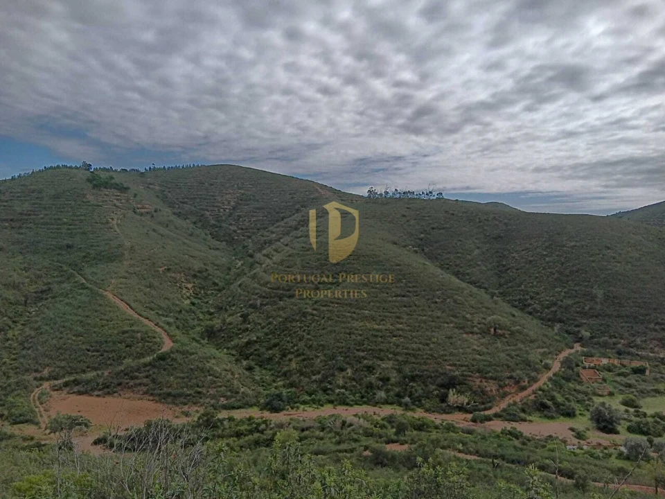 Terreno para Venda em São Bartolomeu de Messines Foto 11