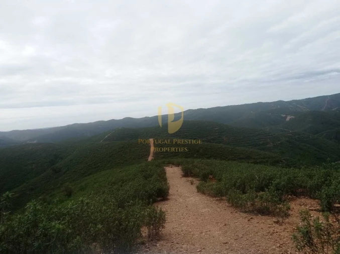 Terreno para Venda em São Bartolomeu de Messines Foto 6