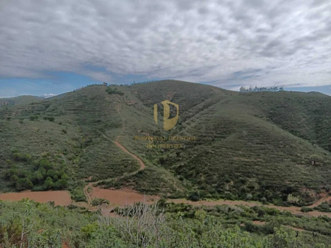 Terreno para Venda em São Bartolomeu de Messines Foto 8