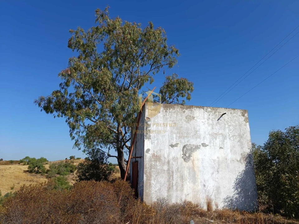 Negócio para Venda em Castro Marim Foto 4