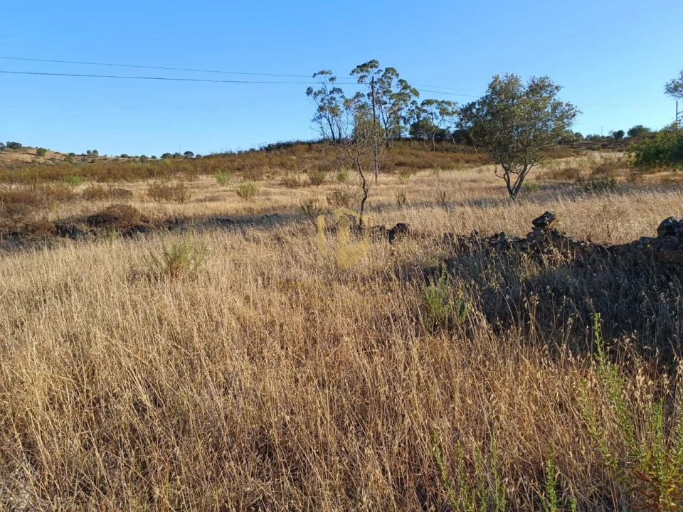 Negócio para Venda em Castro Marim Foto 13