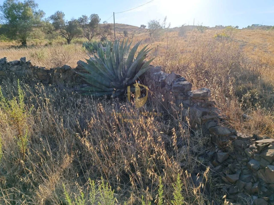 Negócio para Venda em Castro Marim Foto 17