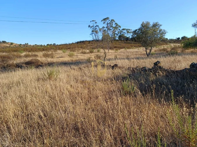 Negócio para Venda em Castro Marim Foto 13