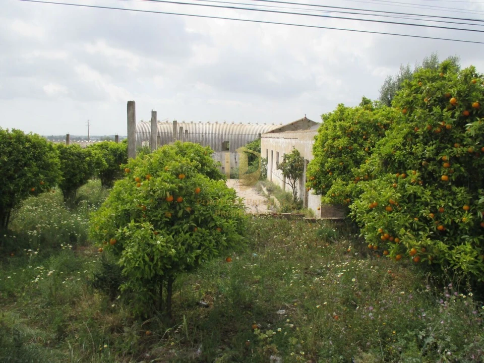 Terreno para Venda em Santa Barbara de Nexe Foto 1