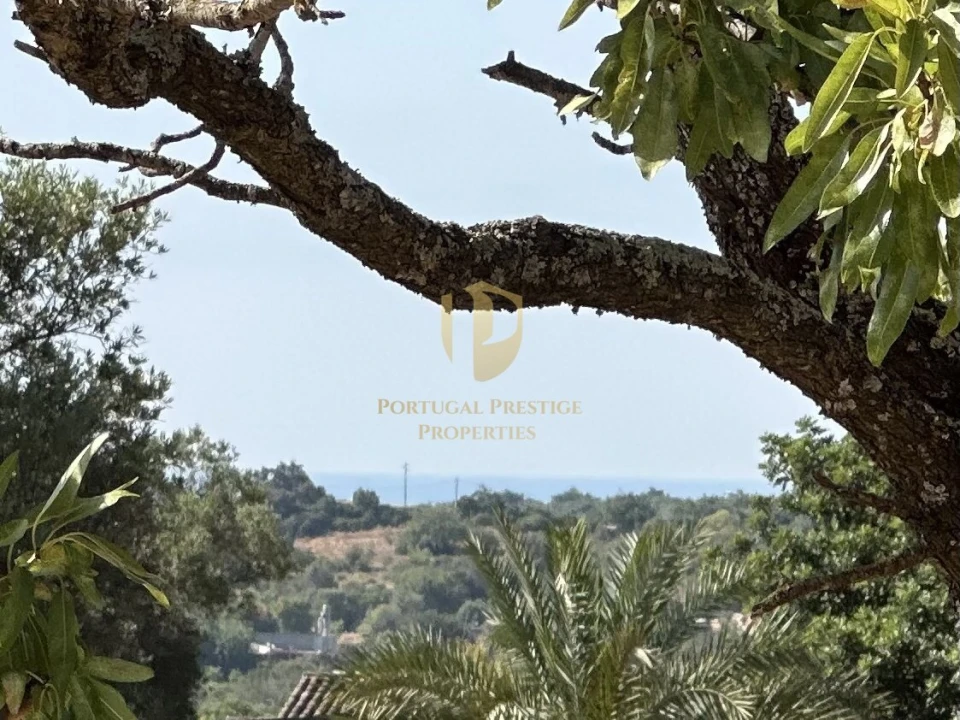 Terreno para Venda em Quelfes Foto 1