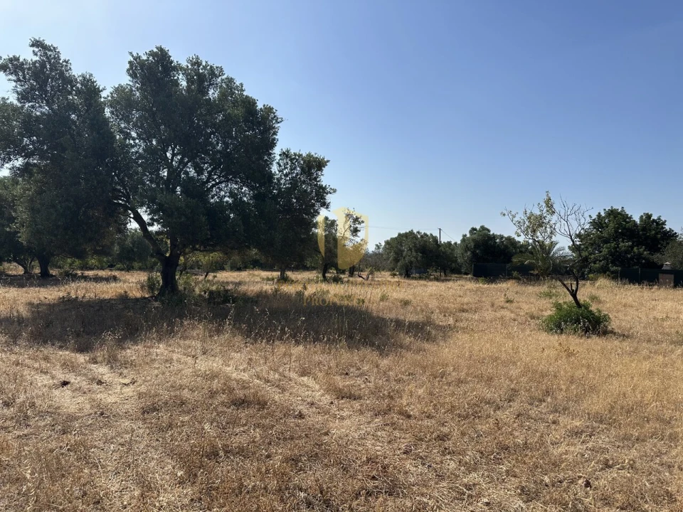 Terreno para Venda em Quelfes Foto 27