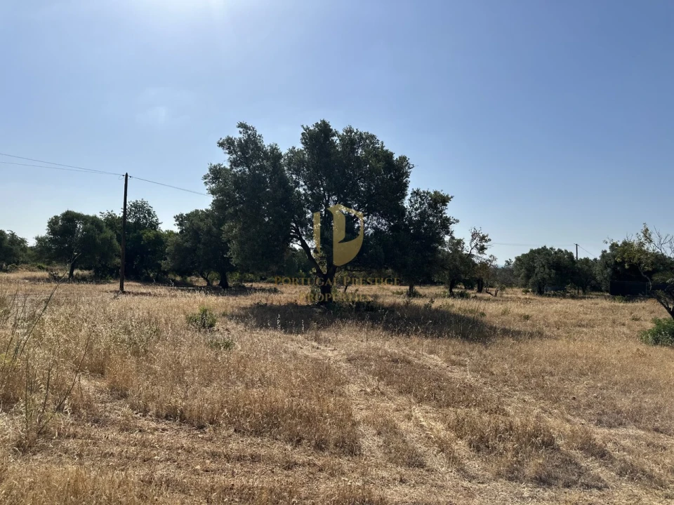 Terreno para Venda em Quelfes Foto 29