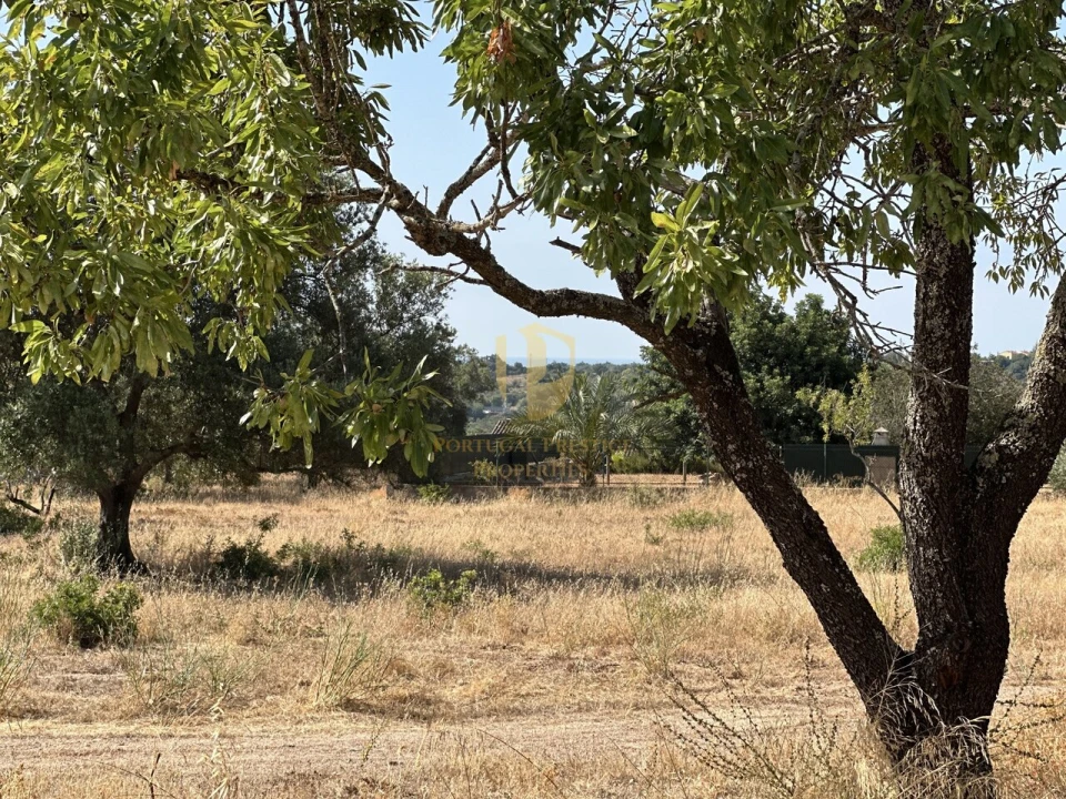 Terreno para Venda em Quelfes Foto 34