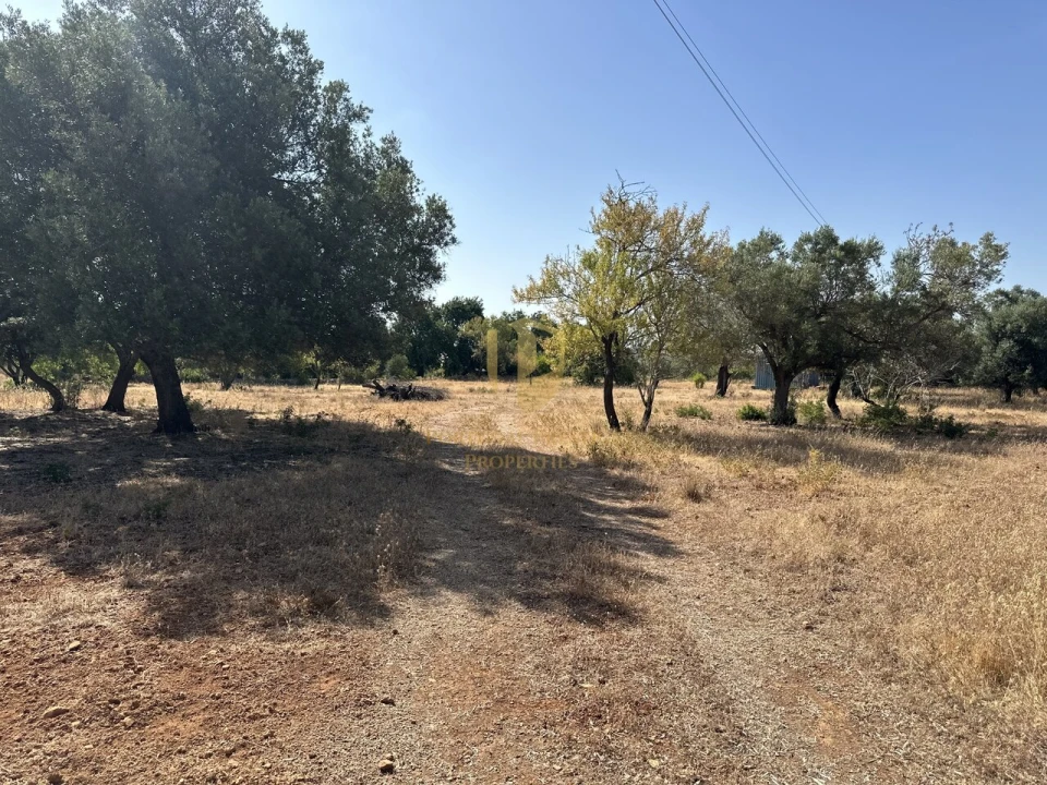 Terreno para Venda em Quelfes Foto 36