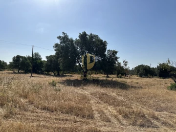 Terreno para Venda em Quelfes