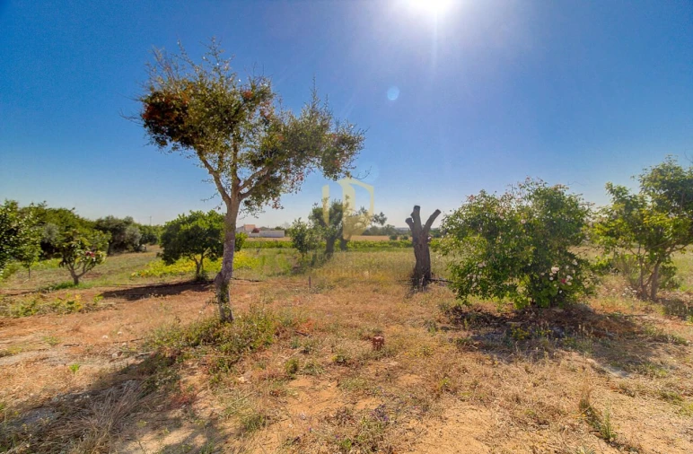 Moradia T6 para Venda em Vila Nova de Cacela Foto 37
