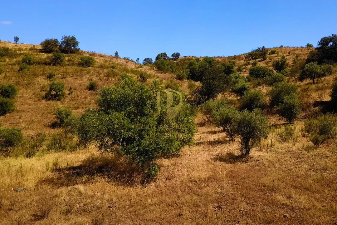 Terreno para Venda em Castro Marim Foto 5