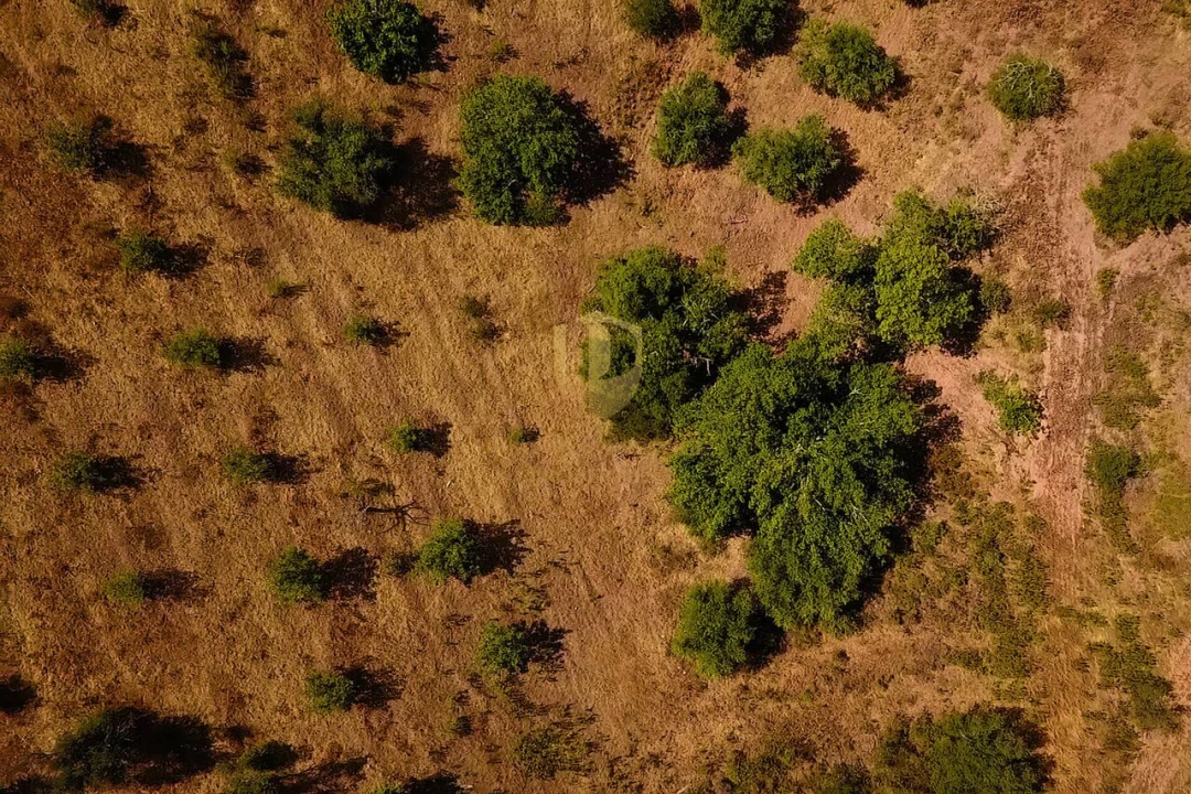 Terreno para Venda em Castro Marim Foto 12