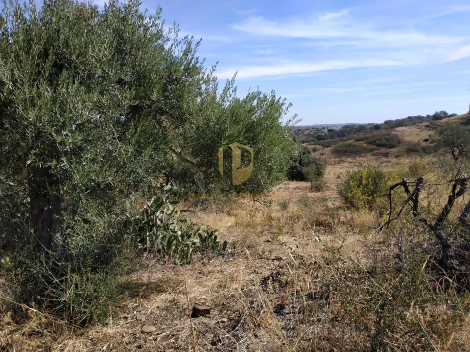 Terreno para Venda em Castro Marim Foto 30