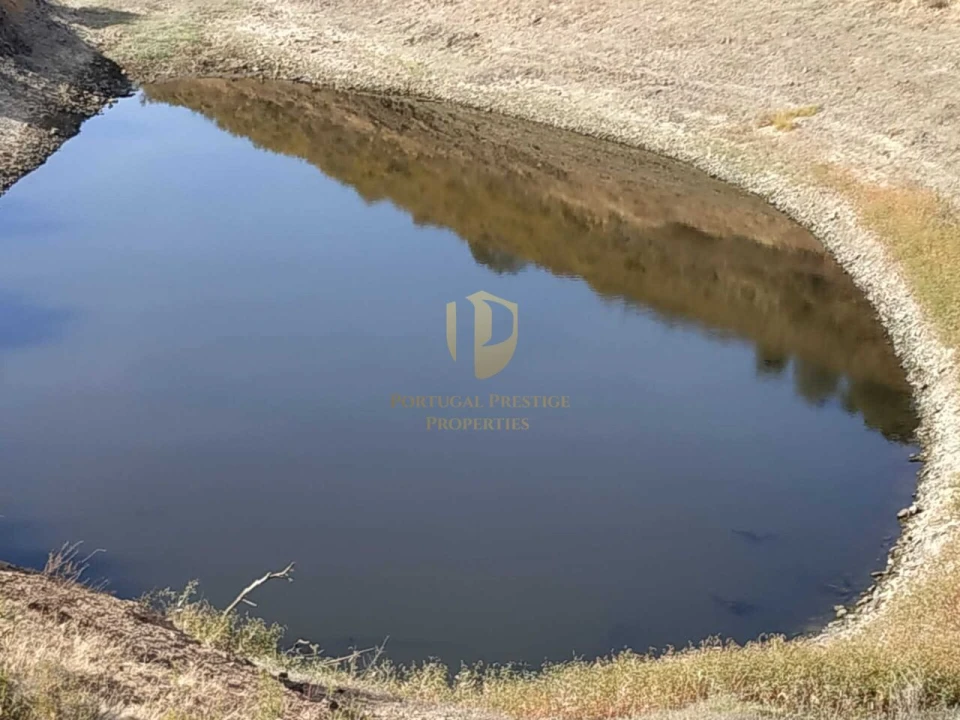 Terreno para Venda em Castro Marim Foto 36