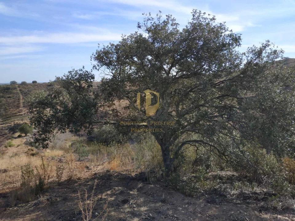 Terreno para Venda em Castro Marim Foto 52