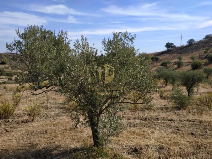 Terreno para Venda em Castro Marim Foto 26