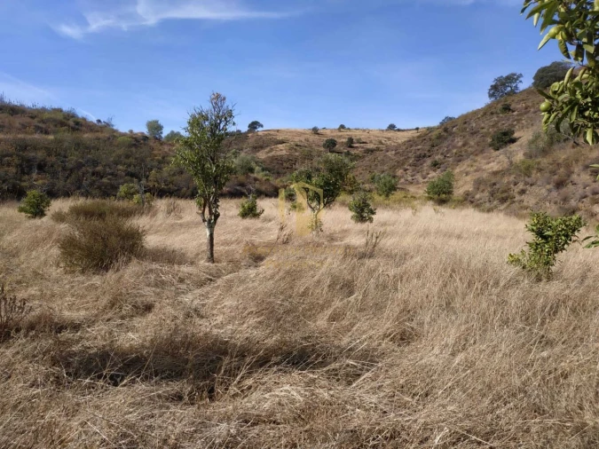 Terreno para Venda em Castro Marim Foto 49