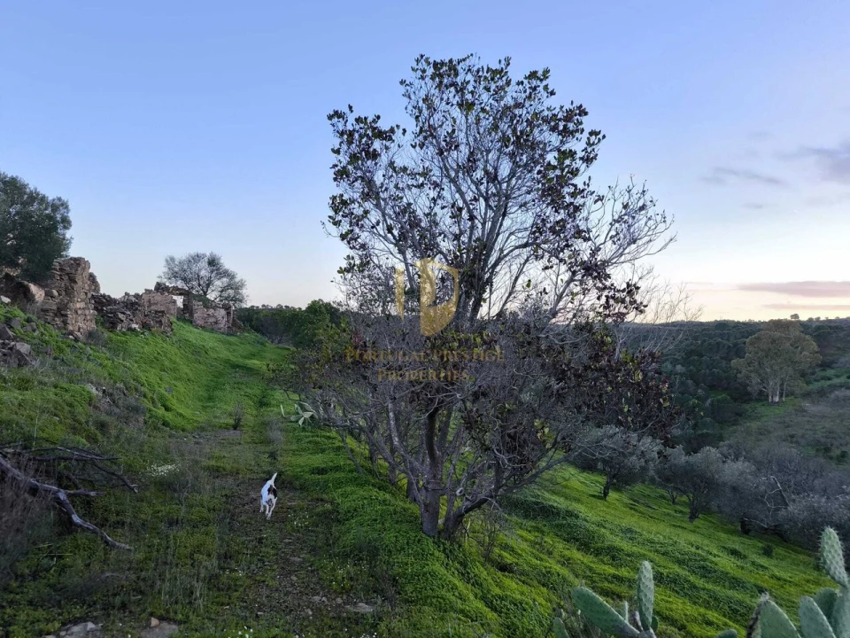 Terreno para Venda em Castro Marim Foto 26