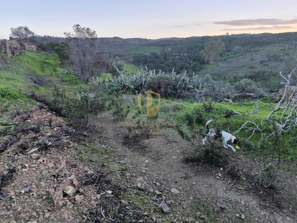 Terreno para Venda em Castro Marim Foto 29