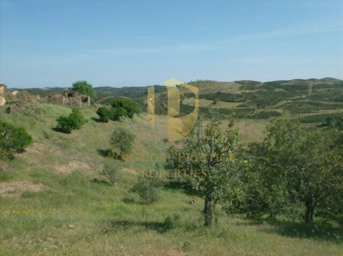Terreno para Venda em Castro Marim Foto 9