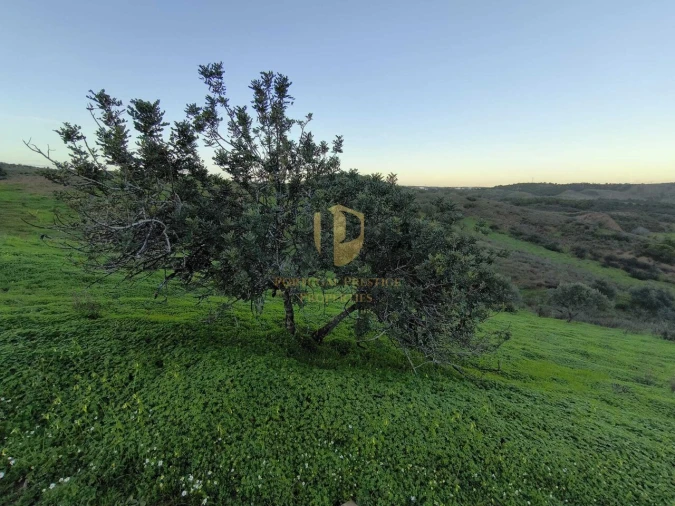 Terreno para Venda em Castro Marim Foto 15