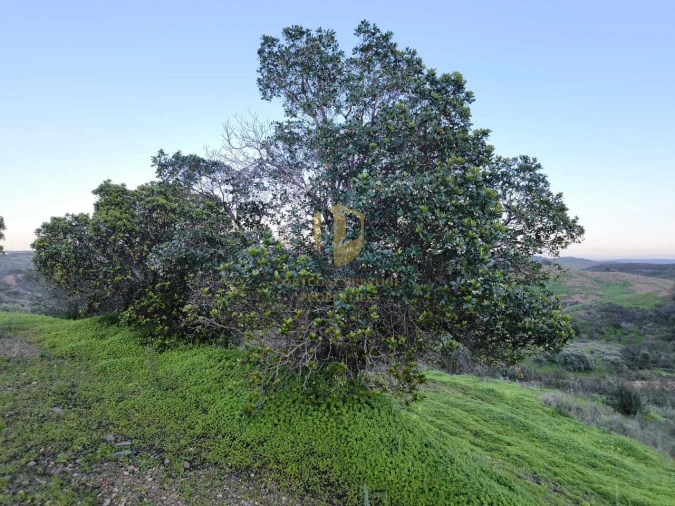 Terreno para Venda em Castro Marim Foto 16