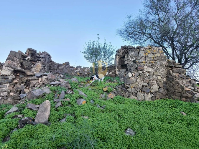 Terreno para Venda em Castro Marim Foto 4