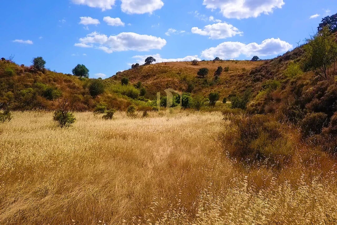 Negócio para Venda em Castro Marim Foto 18