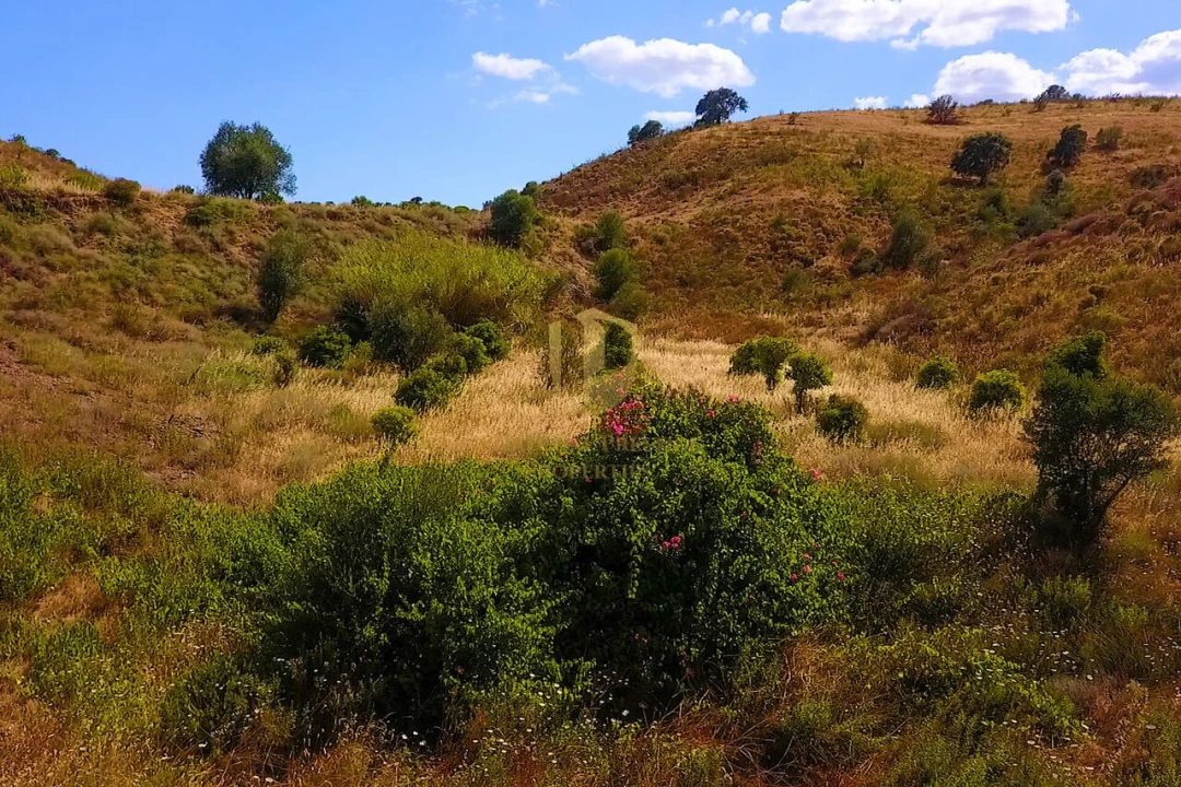 Negócio para Venda em Castro Marim Foto 20
