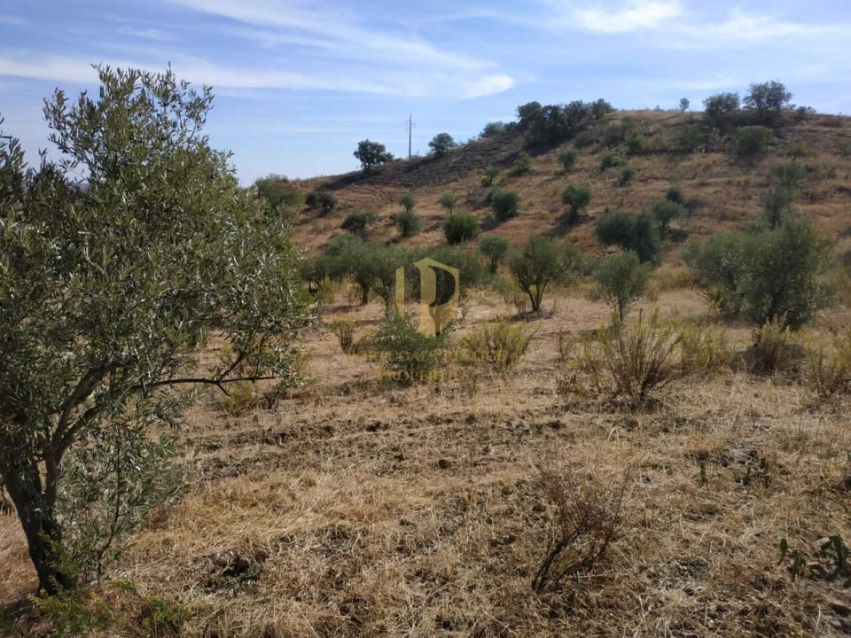 Negócio para Venda em Castro Marim Foto 27